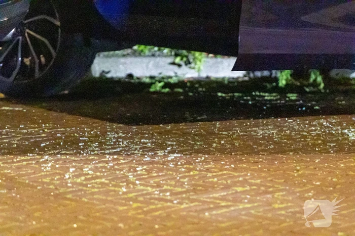 Politie lost schoten na vermoedelijke woninginbraak