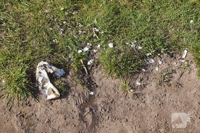 Jongeren vernielen eieren van zwaan