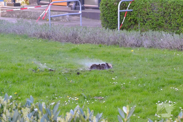 Bloempot in brand op balkon