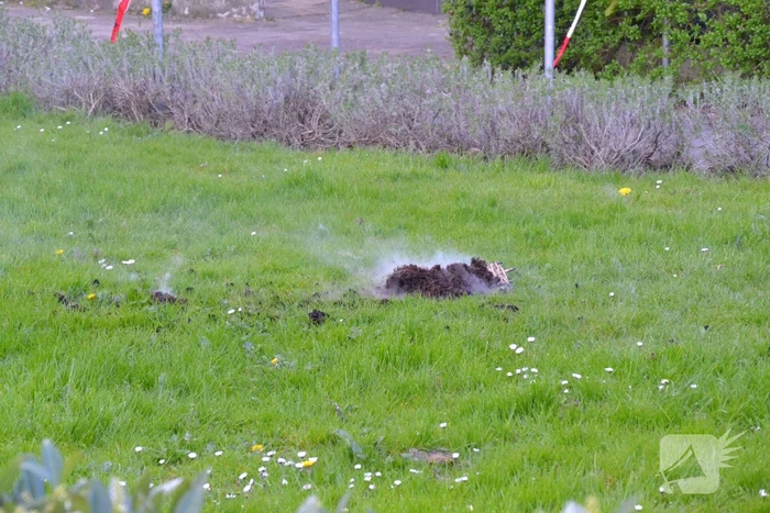 Bloempot in brand op balkon