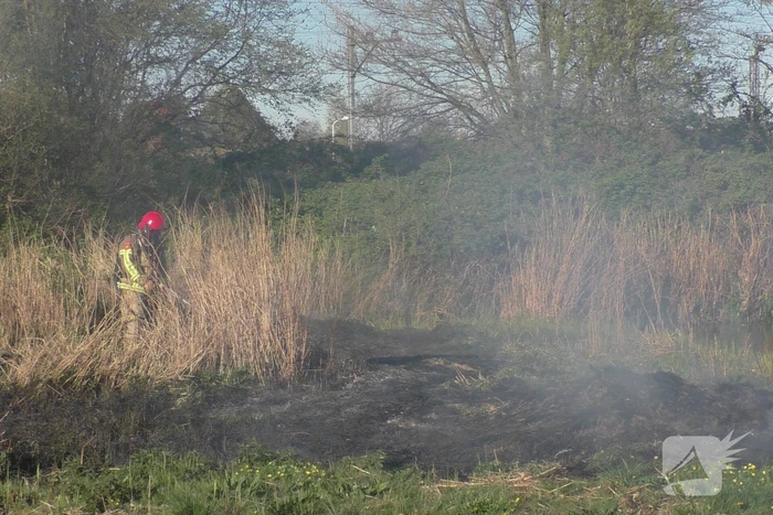 Flinke rookontwikkelingen bij natuurbrand