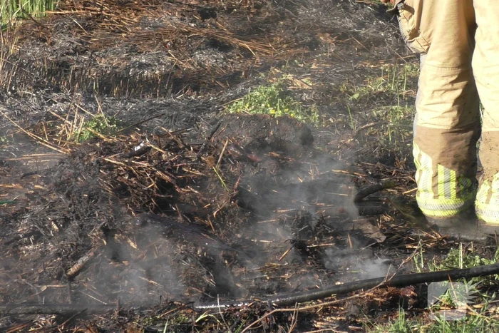 Flinke rookontwikkelingen bij natuurbrand