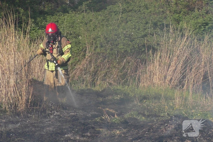 Flinke rookontwikkelingen bij natuurbrand