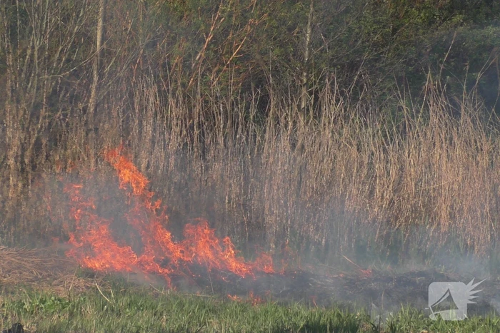 Flinke rookontwikkelingen bij natuurbrand