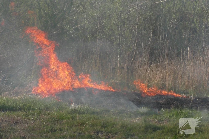 Flinke rookontwikkelingen bij natuurbrand