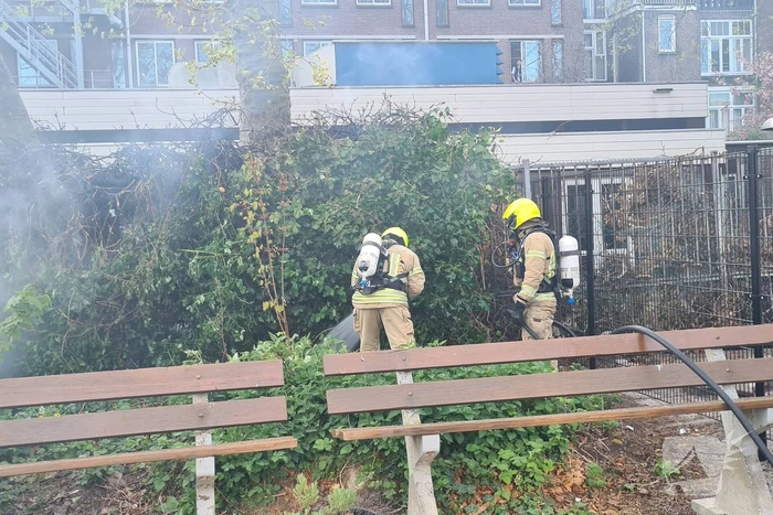 Veel rook bij brand in heg