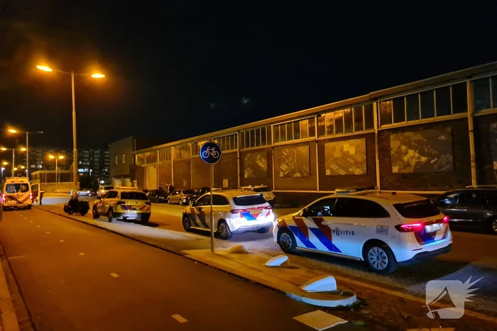 Auto met twee inzittenden de Merwedehaven ingereden