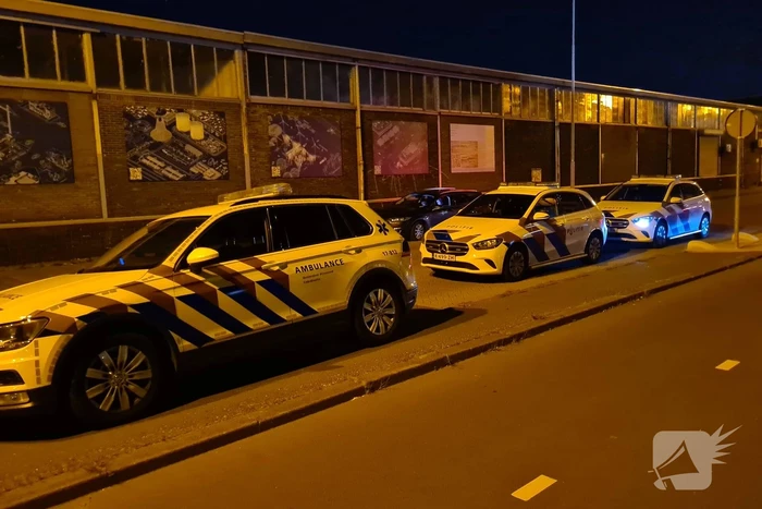 Auto met twee inzittenden de Merwedehaven ingereden