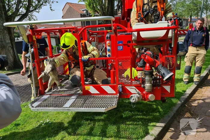 nieuws anthony knottenbeltsingel vlaardingen