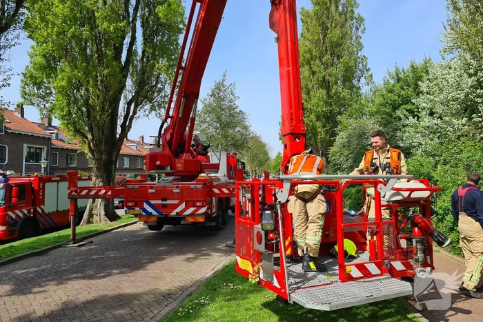 Brandweer haalt vastzittende kat uit boom
