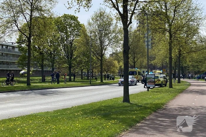 Automobilist botsen frontaal op boom