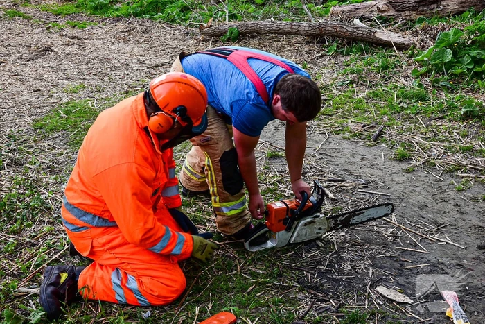 Brandweer blust brandende boom