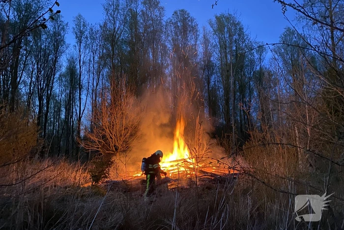 Stapel met hout vliegt in brand