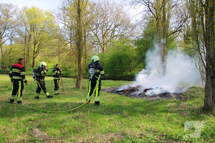 Veel rook bij brand in bult riet Rengerspark