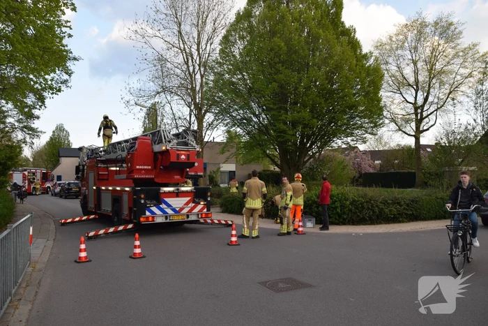 natuur vijverlaan leersum