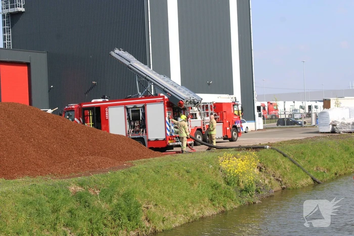 Broei in berg met potgrond
