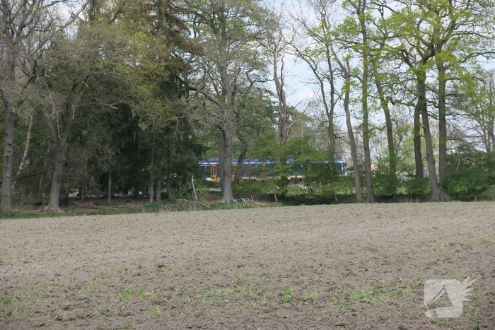 Persoon aangereden door trein