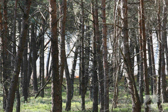 Grote brand in natuurgebied
