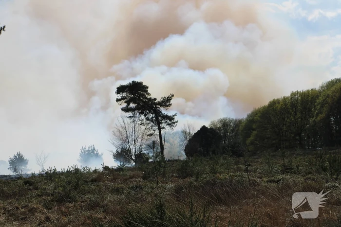 Grote brand in natuurgebied