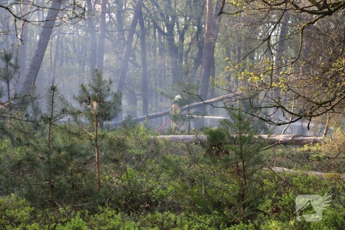 Grote brand in natuurgebied