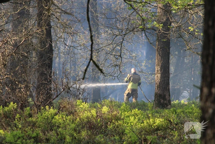 Grote brand in natuurgebied