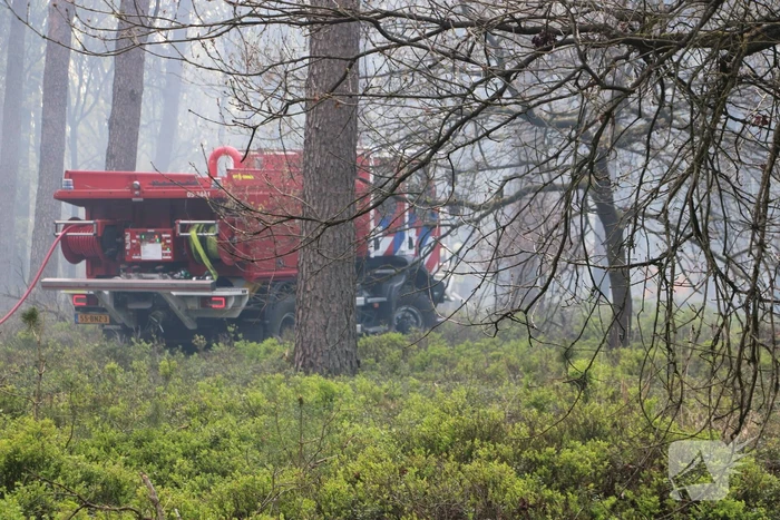 Grote brand in natuurgebied