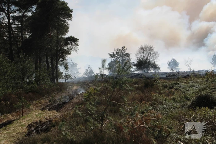 Grote brand in natuurgebied