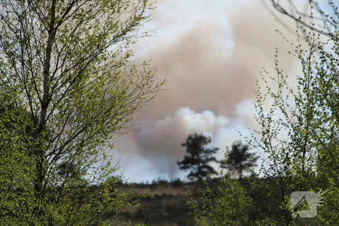 Grote brand in natuurgebied