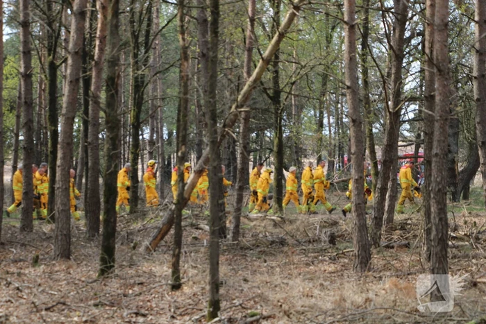 Grote brand in natuurgebied