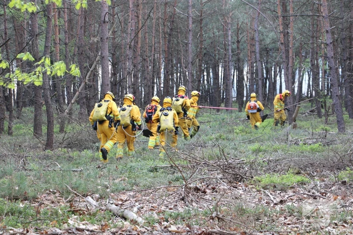 Grote brand in natuurgebied
