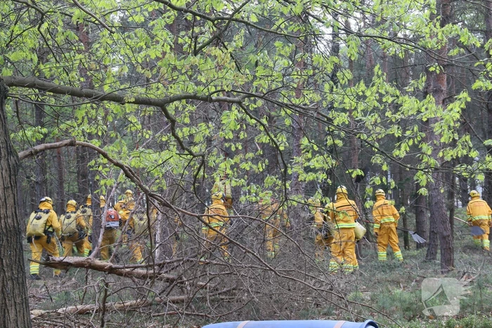 Grote brand in natuurgebied