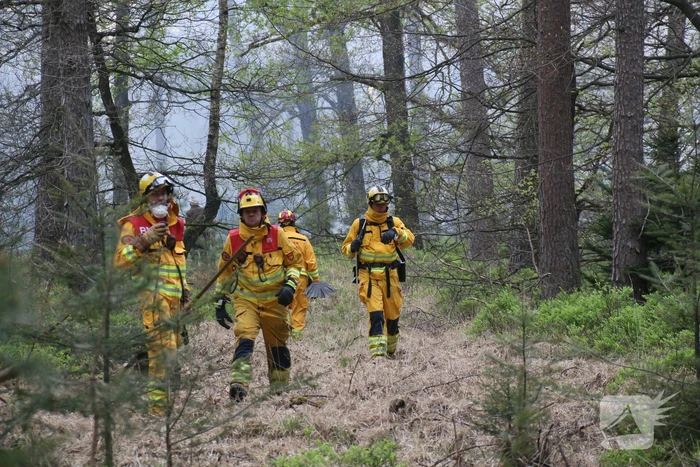 Grote brand in natuurgebied