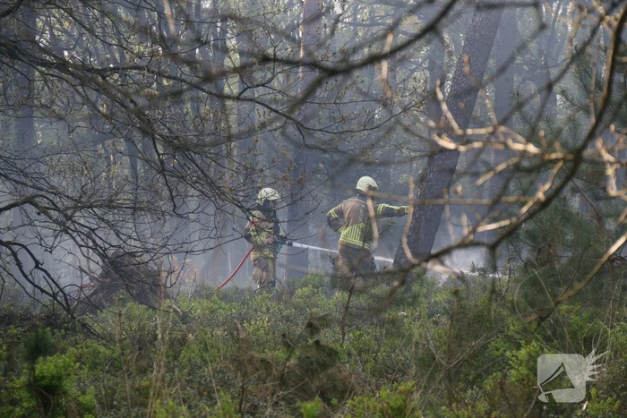 Grote brand in natuurgebied
