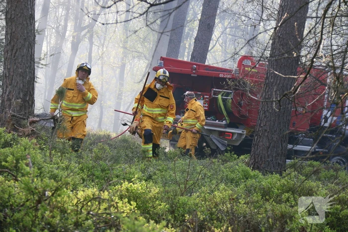 Grote brand in natuurgebied