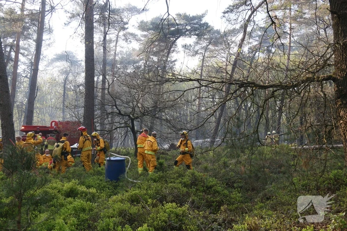 Grote brand in natuurgebied