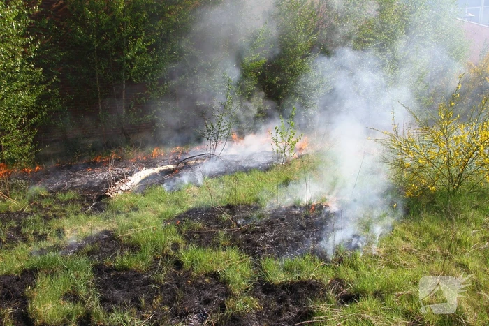 Grasgedeelte vat vlam door mogelijke brandstichting