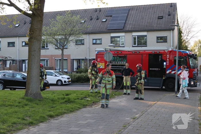 Treinverkeer stilgelegd vanwege brand naast spoor