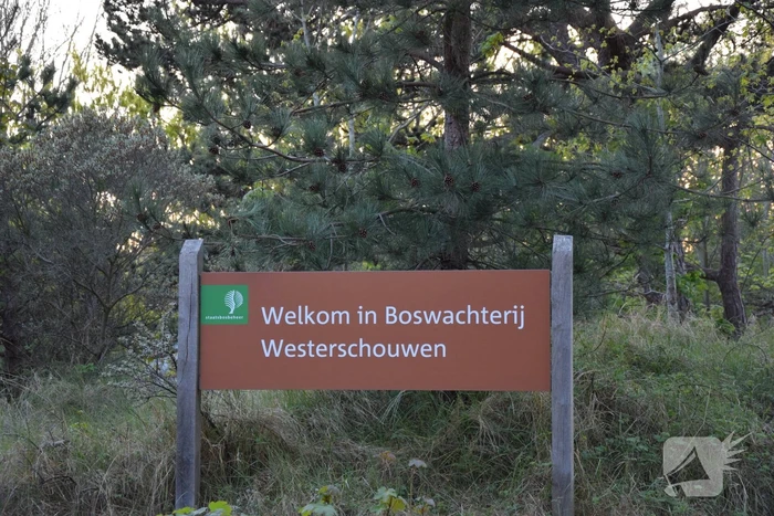 Politiehelikopter ingezet bij zoekactie naar vermist kind
