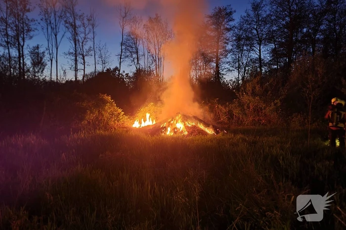 Hevige buitenbrand in park