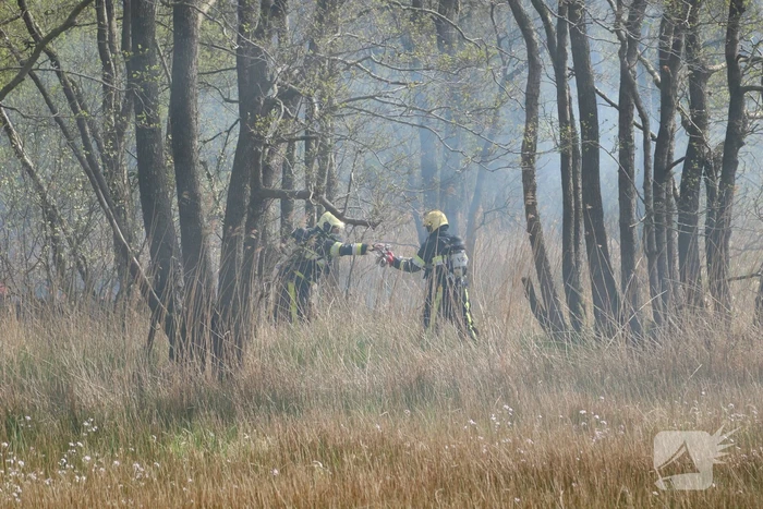 Boswachter ontdekt brand in natuurgebied