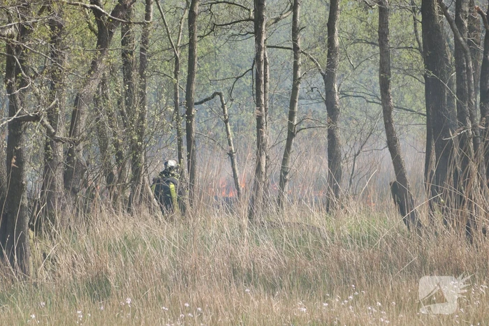 Boswachter ontdekt brand in natuurgebied