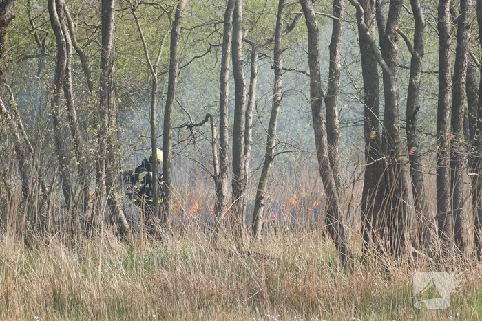 Boswachter ontdekt brand in natuurgebied