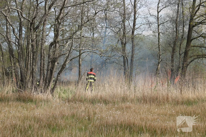 Boswachter ontdekt brand in natuurgebied