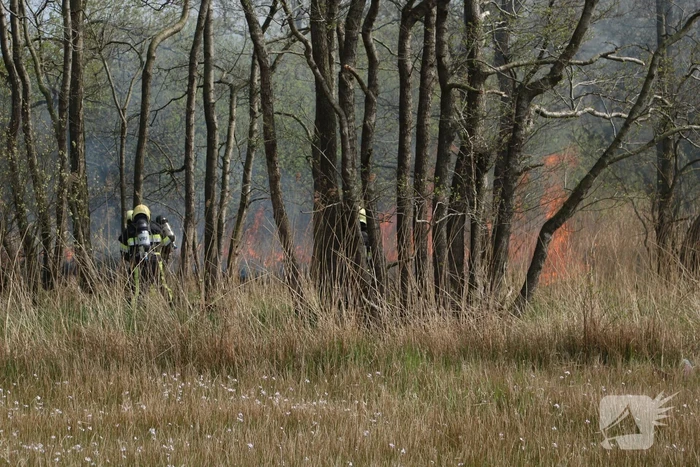 Boswachter ontdekt brand in natuurgebied