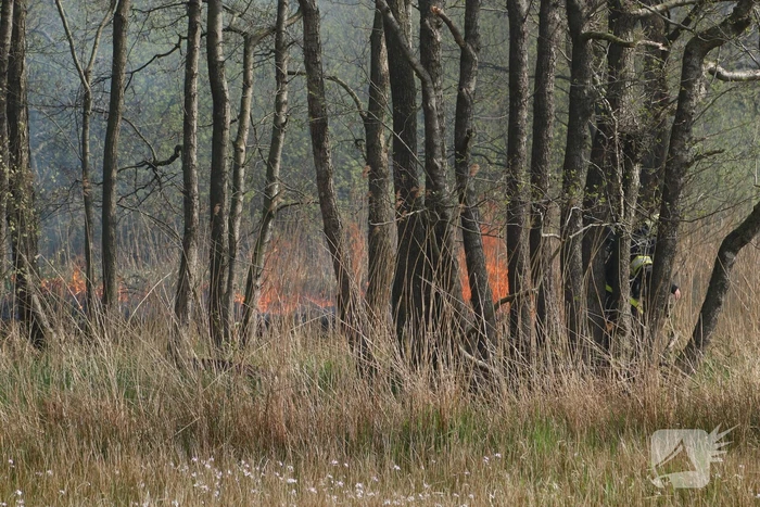 Boswachter ontdekt brand in natuurgebied