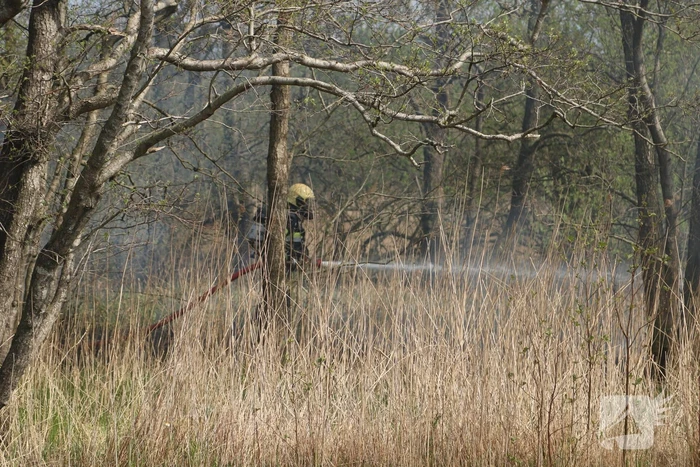 Boswachter ontdekt brand in natuurgebied