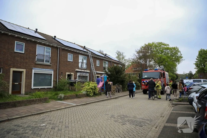 Kat Pika laat zich niet vangen