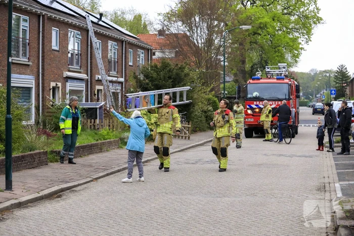 Kat Pika laat zich niet vangen