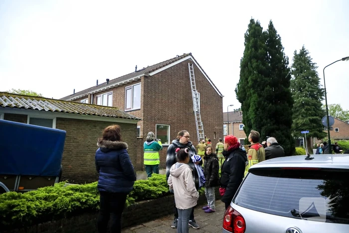 Kat Pika laat zich niet vangen