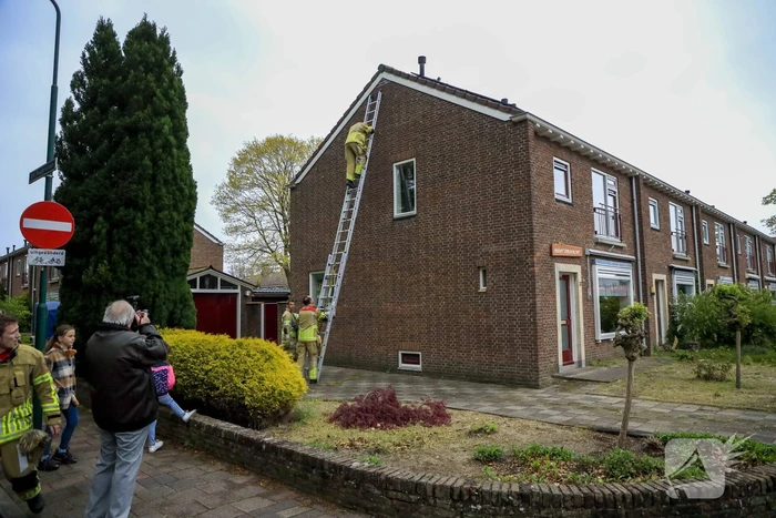 Kat Pika laat zich niet vangen